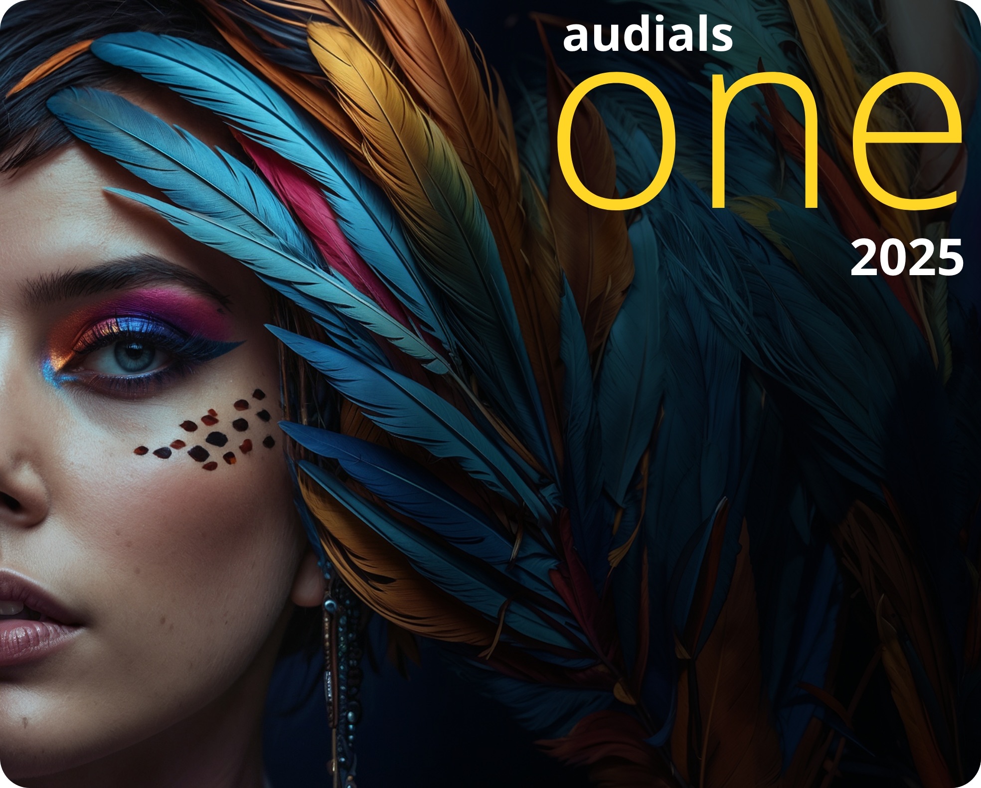 Audials One 2025 Vollversion 1-PC / Dauerlizenz / Key (ESD)