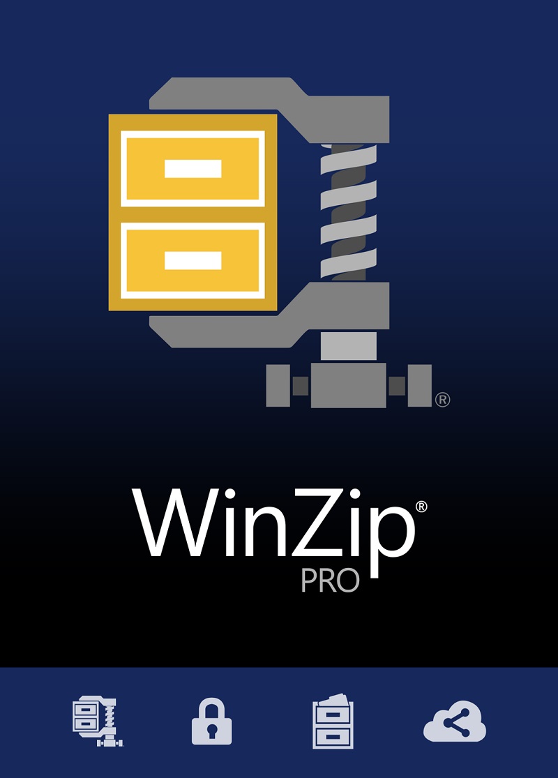 WinZip 29 Professional / 1PC / Dauerlizenz / Windows / DE/ML / ESD