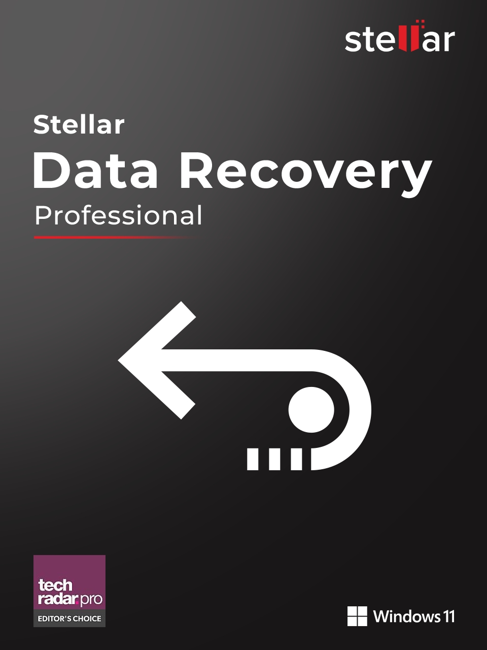 Stellar Data Recovery 11 Professional Windows 1-Gerät / 1-Jahr #KEY (ESD)